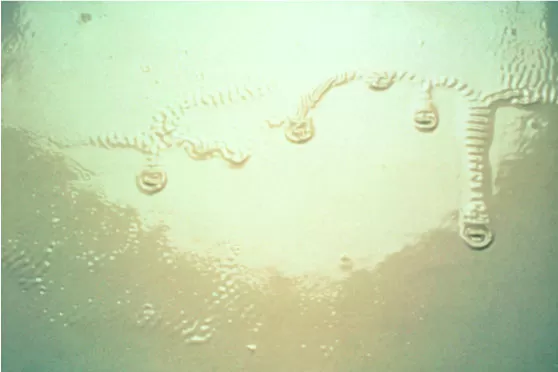 Smudges on the paintwork