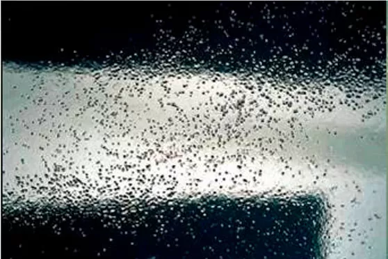 Boiling on paintwork