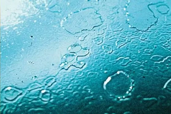 Water stains on paintwork