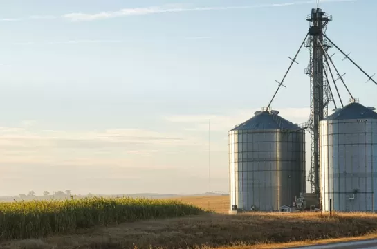 Protective coatings for tanks and silos