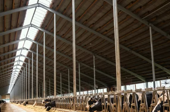 Buildings made of metal structures in the agro‑industrial complex