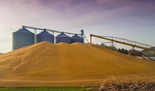 Agricultural Facilities