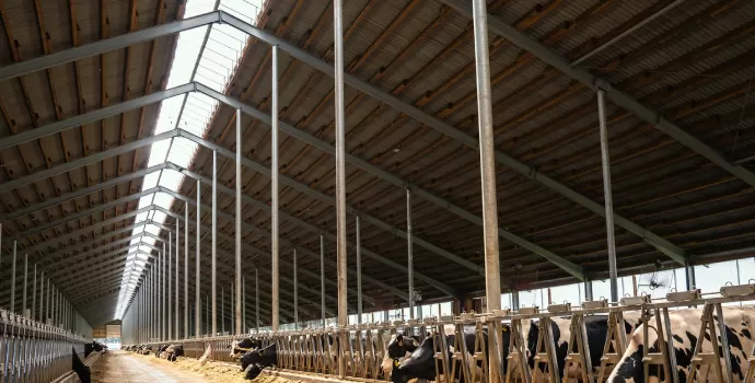 Buildings made of metal structures in the agro‑industrial complex