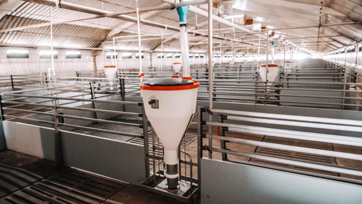 Buildings made of metal structures in the agro‑industrial complex