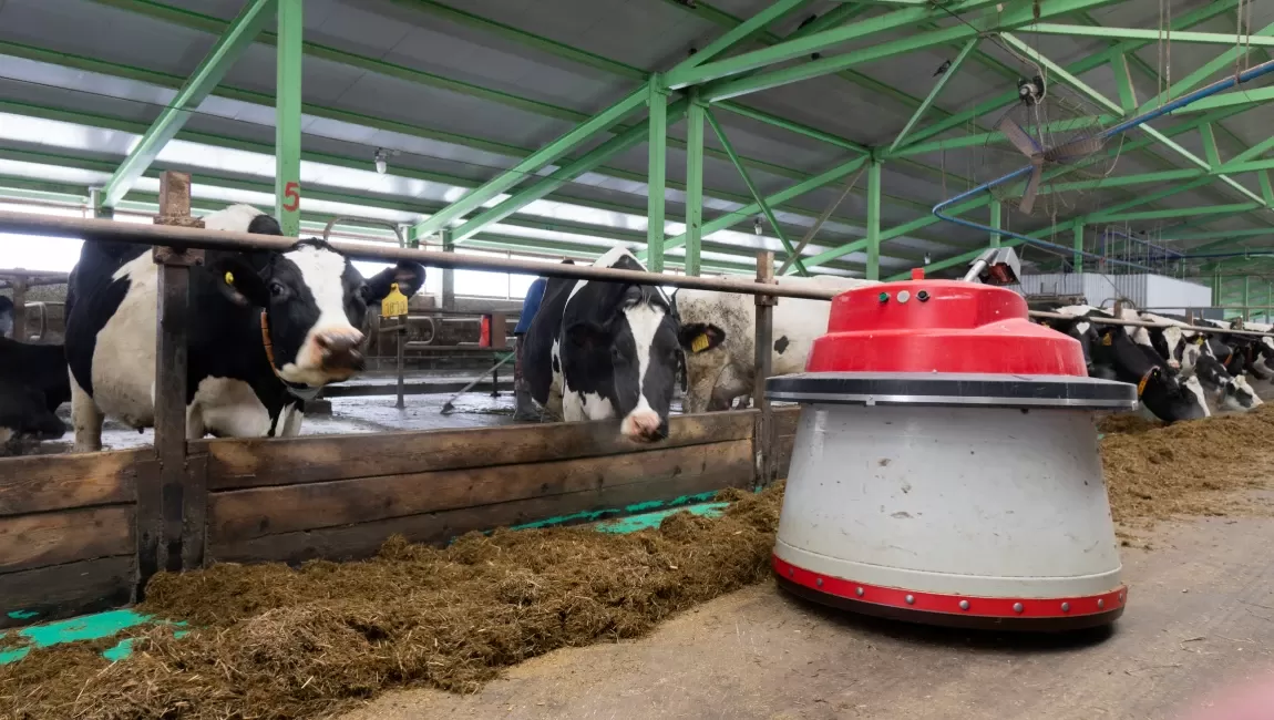Buildings made of metal structures in the agro‑industrial complex