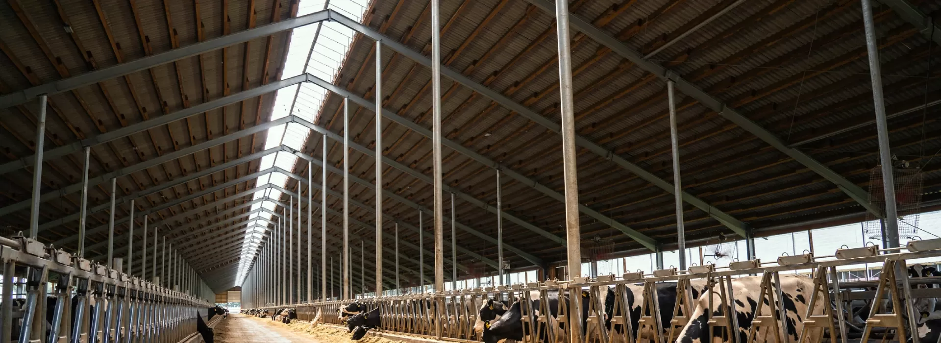 Buildings made of metal structures in the agro‑industrial complex